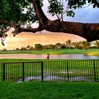 Ask and You Shall Receive ~ Relationship Roads into Reemergence