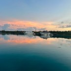 The Bicycle Diaries:  Journeys of Purpose